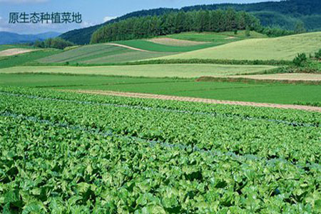 幸福新農村-互聯網+農業(yè)養(yǎng)殖